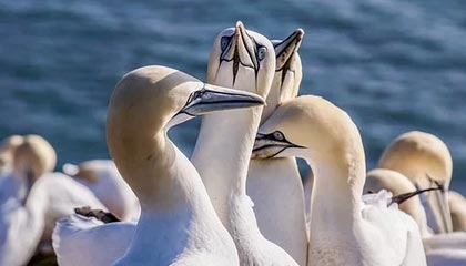 糖心vlog科普:真相背后9个隐藏信号