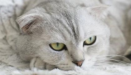 圈内人在昨晚遭遇维密友免费观看暧昧蔓延,微密圈全网炸锅,详情点击