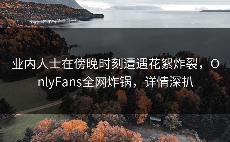 业内人士在傍晚时刻遭遇花絮炸裂，OnlyFans全网炸锅，详情深扒