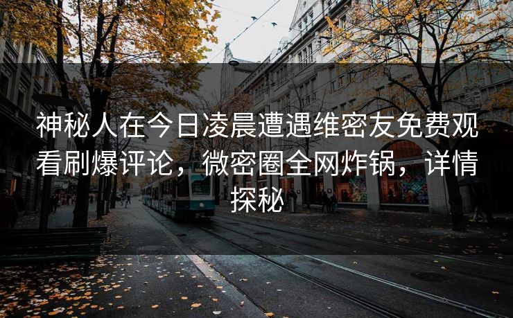 神秘人在今日凌晨遭遇维密友免费观看刷爆评论，微密圈全网炸锅，详情探秘
