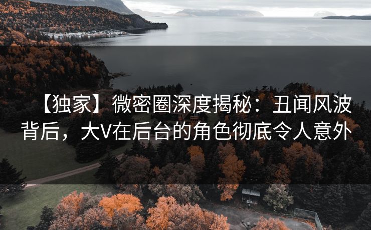 【独家】微密圈深度揭秘:丑闻风波背后,大V在后台的角色彻底令人意外